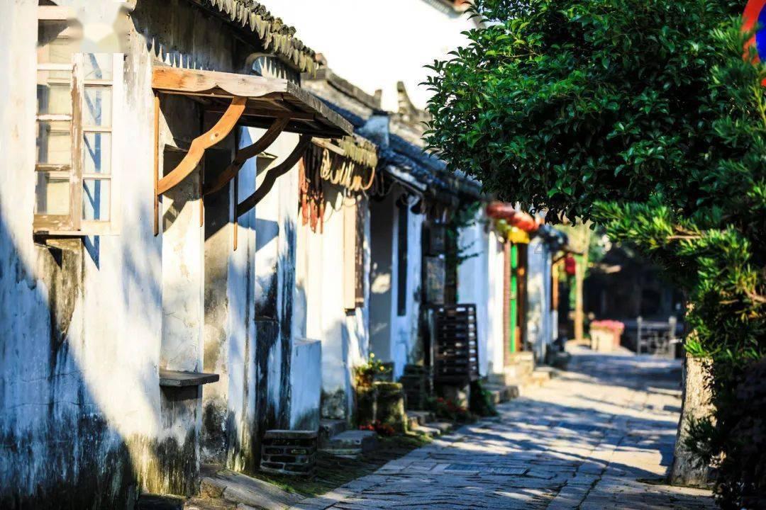东方甄选半年净赚超5亿元 将在北京等一线城市试点前置仓